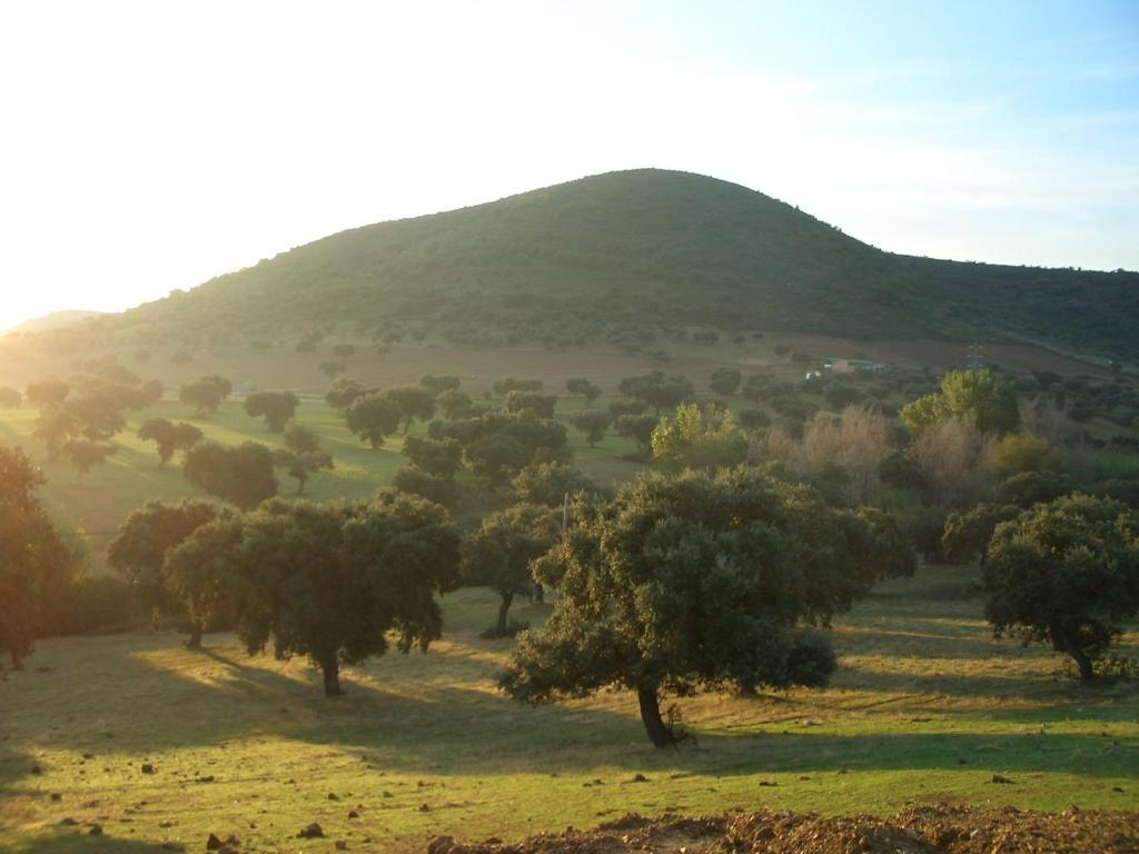 Cortijo El Criadero El Hoyo Bilik gambar