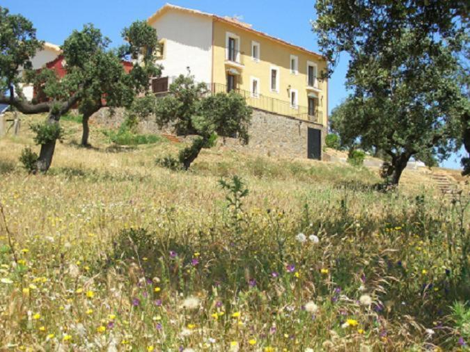 Cortijo El Criadero El Hoyo Luaran gambar